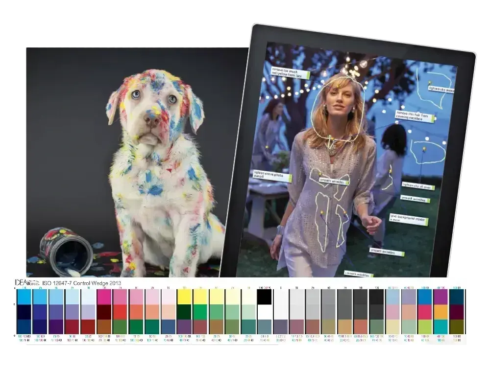 artisan-colour-web-digital-asset-management-1-1